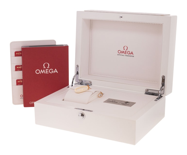 Omega Aqua Terra 150m Gents 522.10.41.21.04.001 Image 4